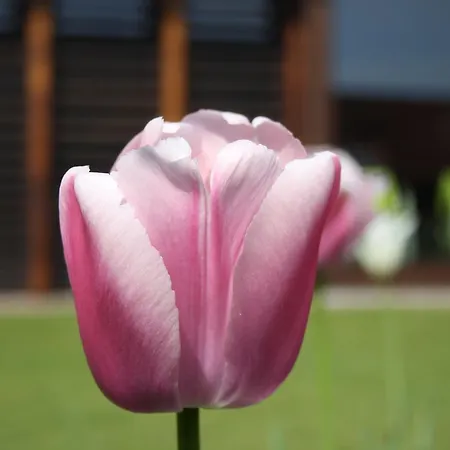 Gasthof Refugium Logumkloster