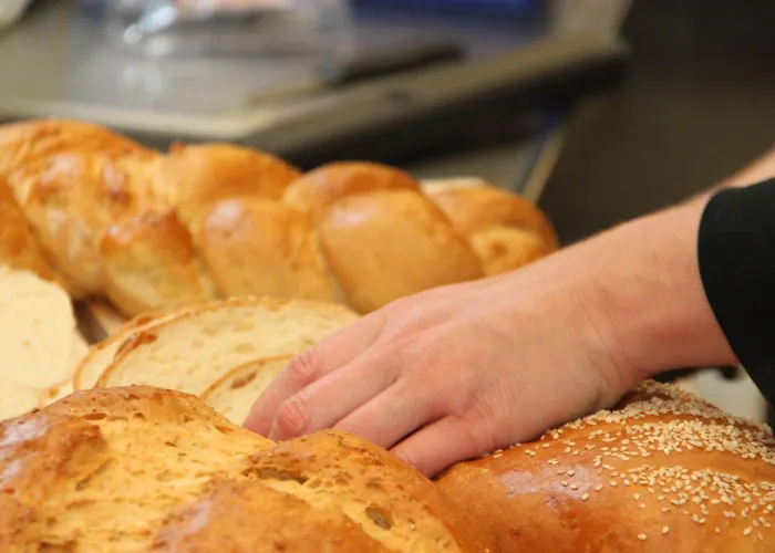 Refugium Logumkloster