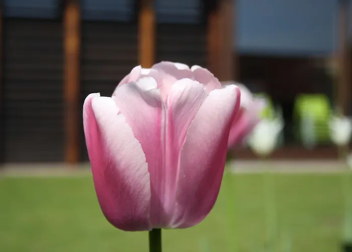 Estalagem Refugium Logumkloster